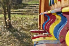 04-13 - der Frühling ist angekommen 